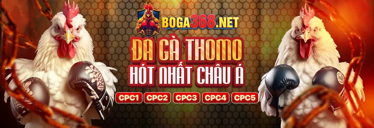 Hình ảnh chính về 99bet win